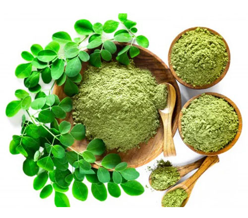 Moringa2