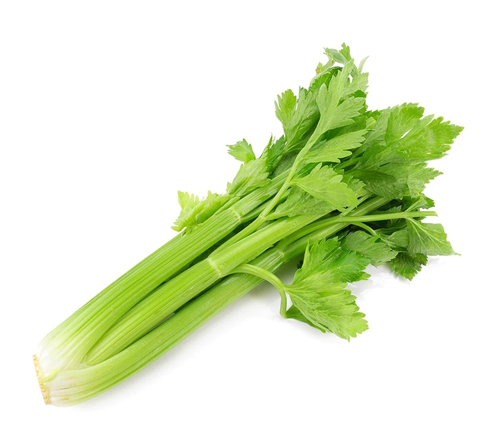 Celery4