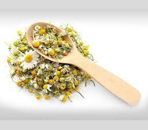 Chamomile2