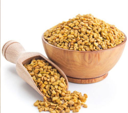 Fenugreek Seeds1