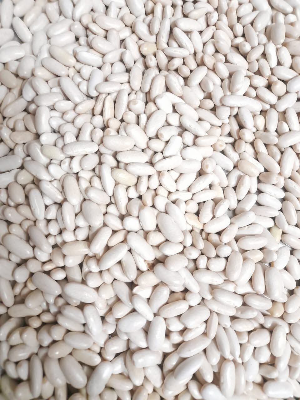 bean