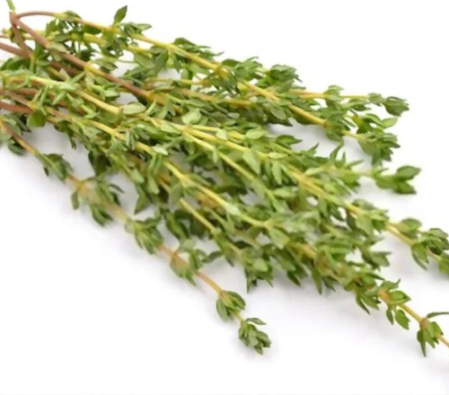 Thyme2