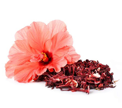 Hibiscus2