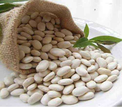 White Kidney Beans2